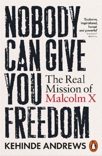 Buchcover und Innenansicht für das Buch: Nobody Can Give You Freedom