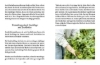 Buchcover und Innenansicht für das Buch: Das große kleine Buch: Mein Naschgarten