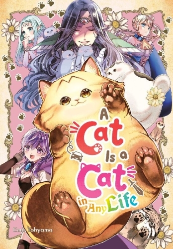 Buchcover und Innenansicht für das Buch: A Cat Is a Cat in Any Life