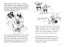 Buchcover und Innenansicht für das Buch: Rowley Jefferson's Awesome Friendly Adventure