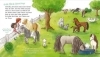 Buchcover und Innenansicht für das Buch: WAS IST WAS Meine Welt Band 7 Ich mag Ponys!