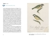 Buchcover und Innenansicht für das Buch: Vögel