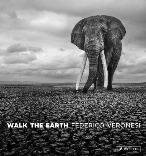 Buchcover und Innenansicht für das Buch: Walk the Earth