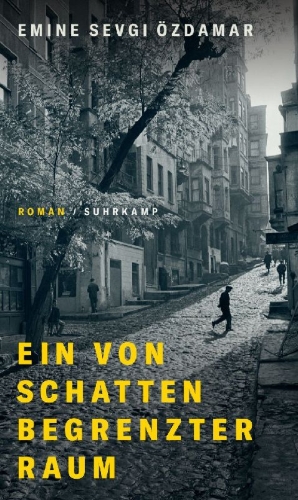 Buchcover und Innenansicht für das Buch: Ein von Schatten begrenzter Raum