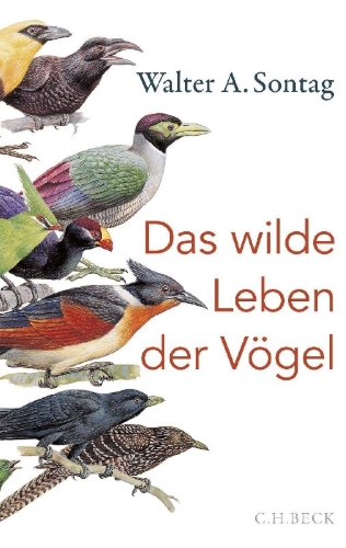 Buchcover und Innenansicht für das Buch: Das wilde Leben der Vögel
