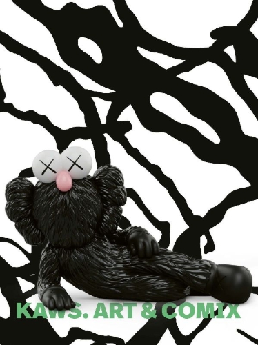 Buchcover und Innenansicht für das Buch: KAWS