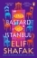 Buchcover und Innenansicht für das Buch: The Bastard of Istanbul