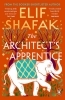 Buchcover und Innenansicht für das Buch: The Architect's Apprentice