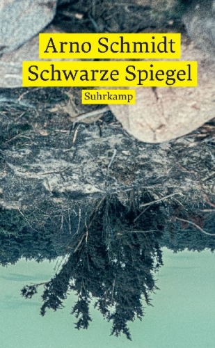 Buchcover und Innenansicht für das Buch: Schwarze Spiegel