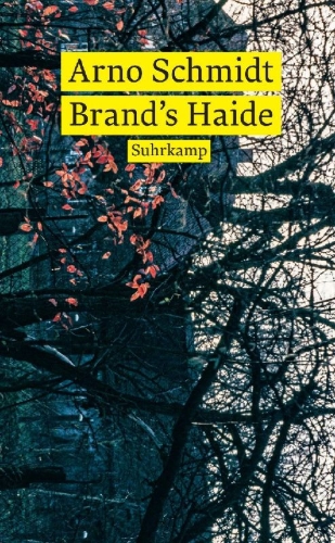 Buchcover und Innenansicht für das Buch: Brand's Haide