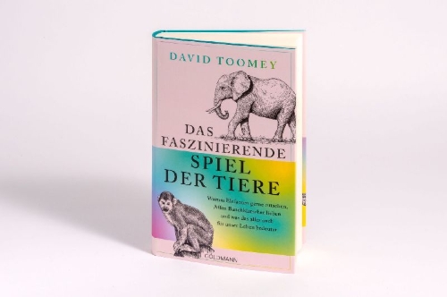 Buchcover und Innenansicht für das Buch: Kingdom of Play