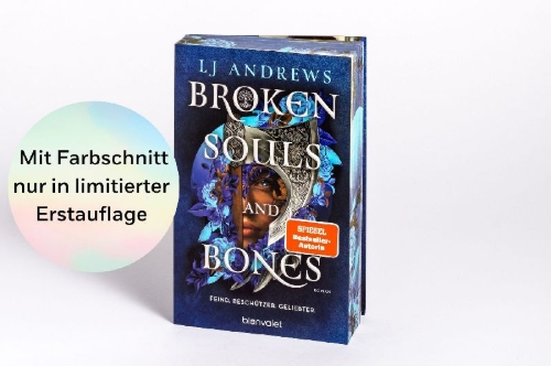 Buchcover und Innenansicht für das Buch: Broken Souls and Bones