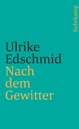 Buchcover und Innenansicht für das Buch: Nach dem Gewitter