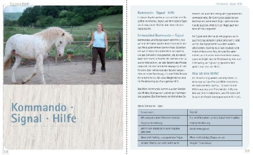 Buchcover und Innenansicht für das Buch: So lernen Pferde