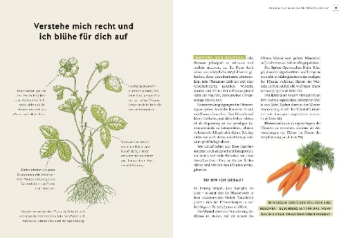 Buchcover und Innenansicht für das Buch: Pflanzen endlich verstehen