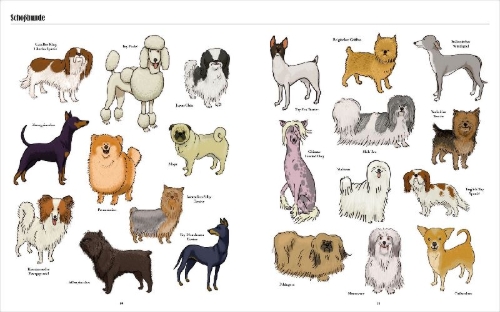 Buchcover und Innenansicht für das Buch: Big Dogs, Little Dogs