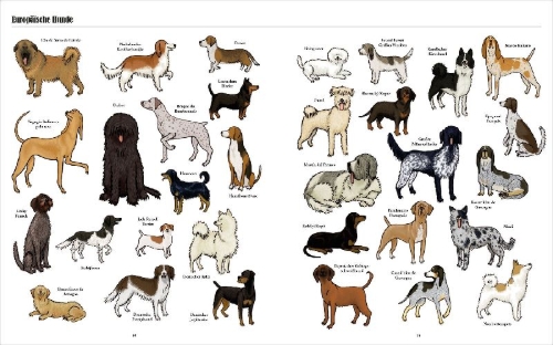 Buchcover und Innenansicht für das Buch: Big Dogs, Little Dogs