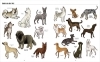 Buchcover und Innenansicht für das Buch: Big Dogs, Little Dogs