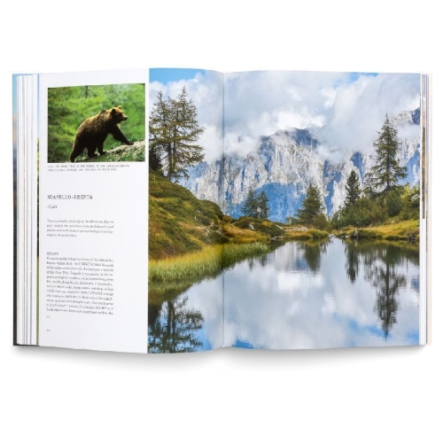 Buchcover und Innenansicht für das Buch: Geoparks