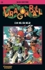 Buchcover und Innenansicht für das Buch: Dragon Ball 36. Ein neuer Held