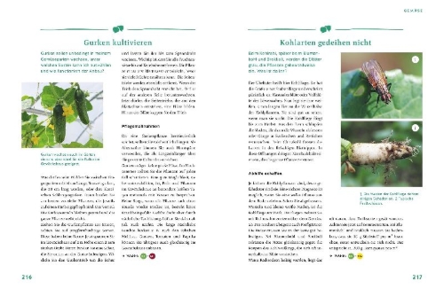Buchcover und Innenansicht für das Buch: Gärtnern für Gartenneulinge