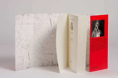 Buchcover und Innenansicht für das Buch: the Plot