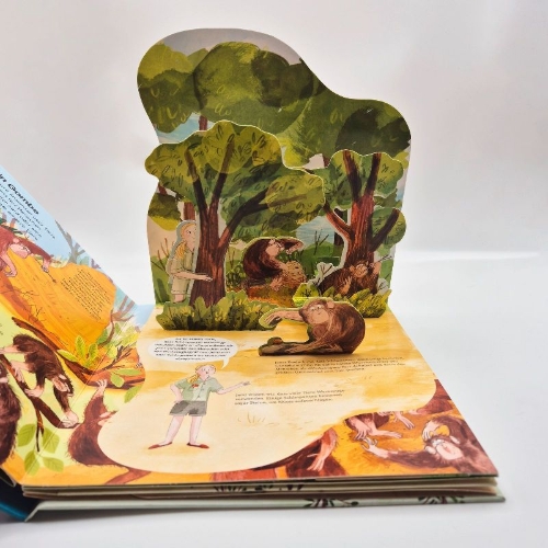 Buchcover und Innenansicht für das Buch: Jane Goodall. A Pop-up-Book