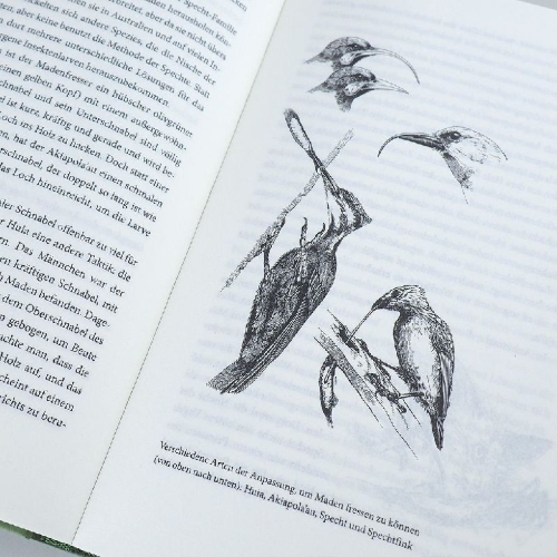 Buchcover und Innenansicht für das Buch: Improbable Destinies