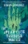 Buchcover und Innenansicht für das Buch: The Spear Cuts Through Water