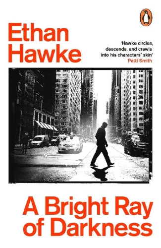 Buchcover und Innenansicht für das Buch: A Bright Ray of Darkness