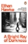 Buchcover und Innenansicht für das Buch: A Bright Ray of Darkness