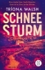Buchcover und Innenansicht für das Buch: Snowstorm