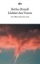Buchcover und Innenansicht für das Buch: Lichter des Toren
