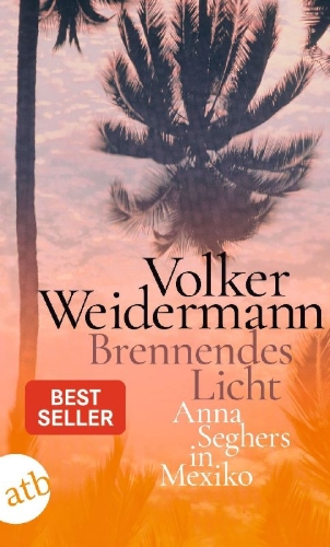 Buchcover und Innenansicht für das Buch: Brennendes Licht
