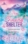 Buchcover und Innenansicht für das Buch: Chasing Shelter