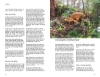 Buchcover und Innenansicht für das Buch: Der illustrierte Pilzführer