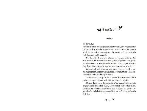 Buchcover und Innenansicht für das Buch: Pride and Prejudice and Pittsburgh