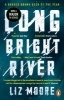 Buchcover und Innenansicht für das Buch: Long Bright River