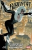 Buchcover und Innenansicht für das Buch: Black Cat (2025) #1-#5