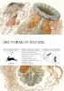 Buchcover und Innenansicht für das Buch: Art Forms in Nature