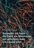 Buchcover und Innenansicht für das Buch: Entweder ich habe die Fahrt am Mississippi nur geträumt, oder ich träume jetzt