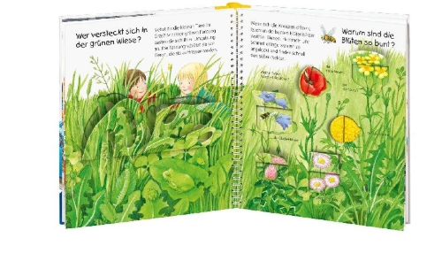 Buchcover und Innenansicht für das Buch: Wieso? Weshalb? Warum? junior, Band 13: Welche Farbe ist das?