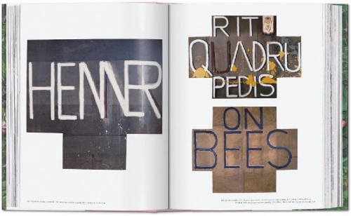 Buchcover und Innenansicht für das Buch: Julian Schnabel