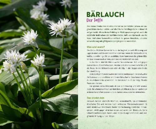 Buchcover und Innenansicht für das Buch: Wild und wunderbar: die 13 besten Wildkräuter