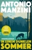 Buchcover und Innenansicht für das Buch: In einem dunklen Sommer