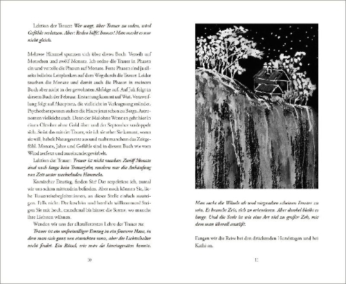 Buchcover und Innenansicht für das Buch: Heitere Himmel