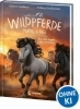 Buchcover und Innenansicht für das Buch: Wildpferde - mutig und frei (Band 5) - Rauch über der Prärie