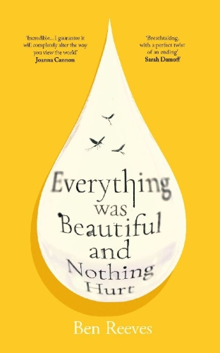 Buchcover und Innenansicht für das Buch: Everything was Beautiful and Nothing Hurt