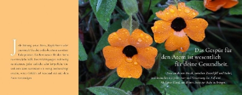 Buchcover und Innenansicht für das Buch: Meine Momente zum Durchatmen