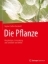 Buchcover und Innenansicht für das Buch: Die Pflanze